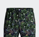 Bañador Chico IMPETUS Estampado Tropical